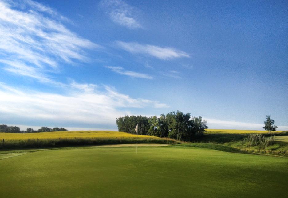 hole6 - Tooth of the Dogpound Creek Golf Course